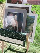 Clothesline Booth at Art on the Green photo by Don Sausser